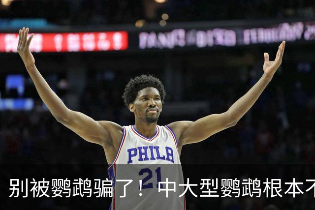别被鹦鹉骗了！中大型鹦鹉根本不是宠物，是会飞的野生猛禽！